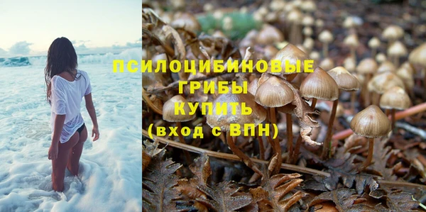 меф Заводоуковск