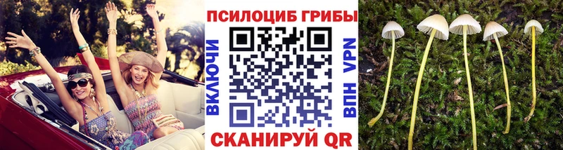 Купить закладки  Ленск  Псилоцибиновые грибы Cubensis 
